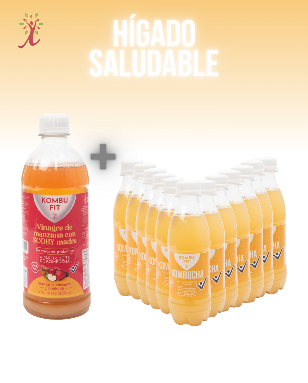 Vinagre de Kombucha cúrcuma y pimienta + Pack Kombucha maracuyá, cúrcuma y pimienta