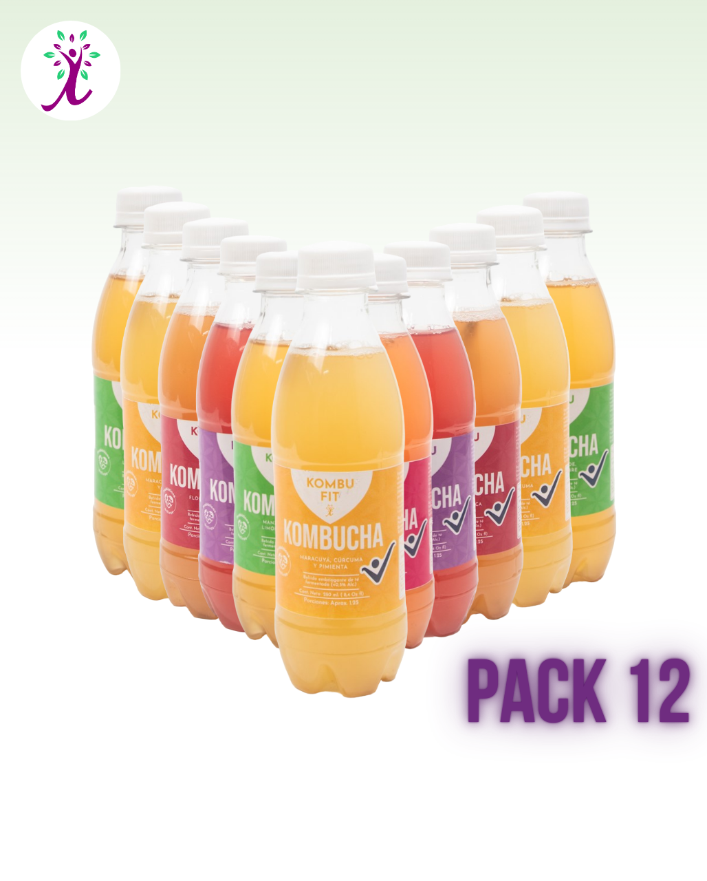 Pack de Kombucha sabores surtidos