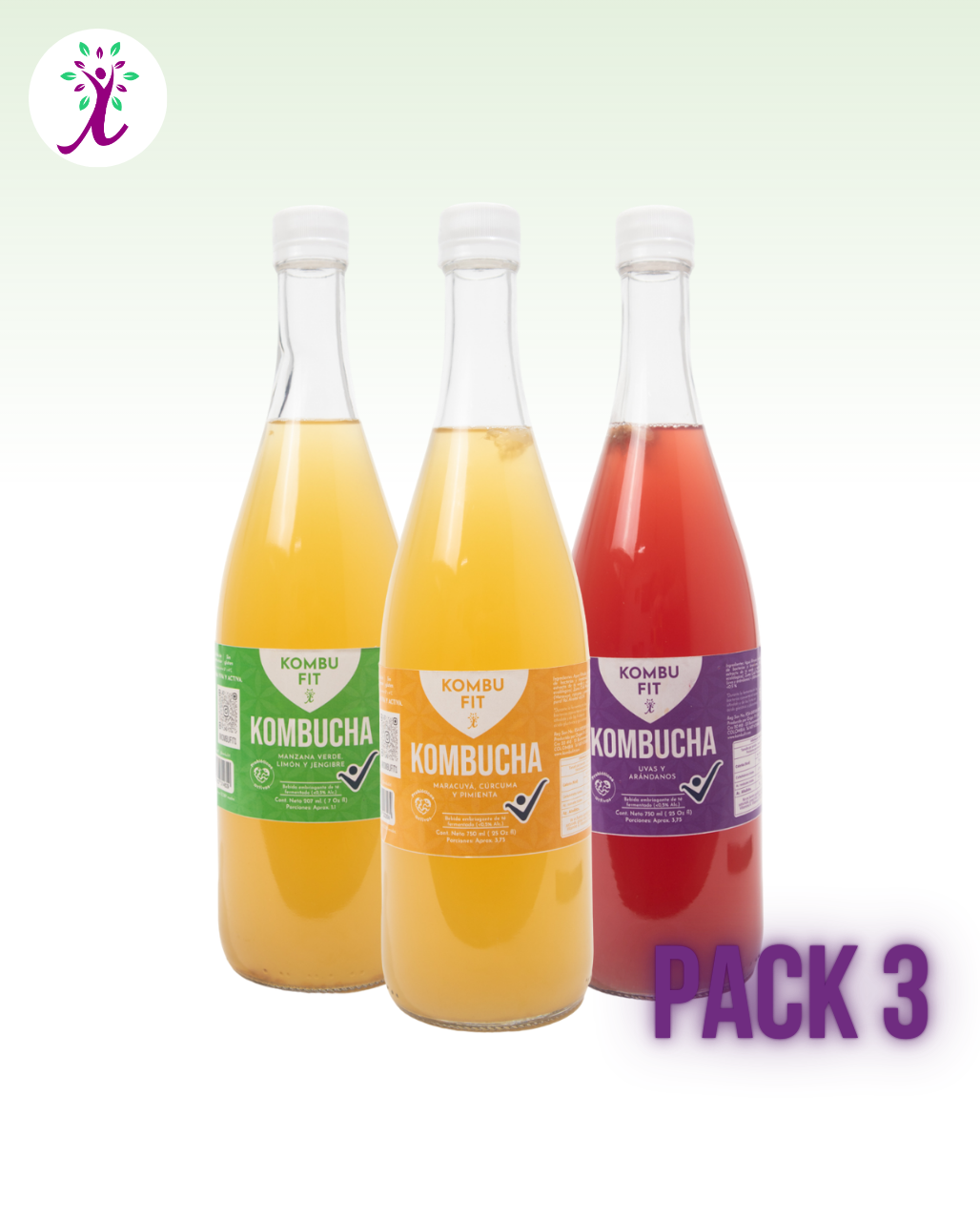 Pack de Kombucha sabores surtidos