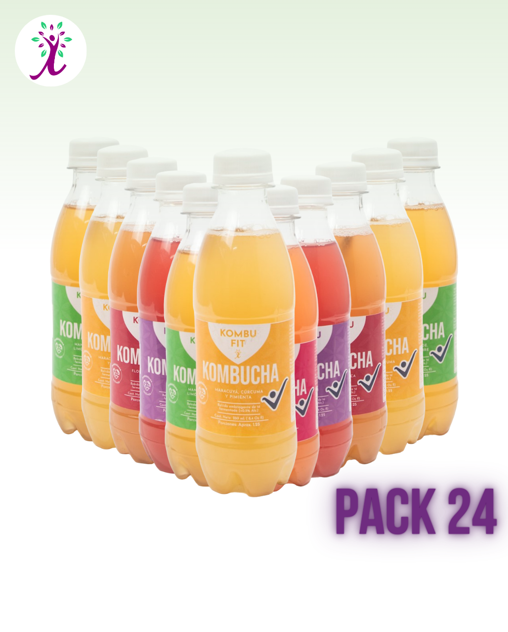 Pack de Kombucha sabores surtidos