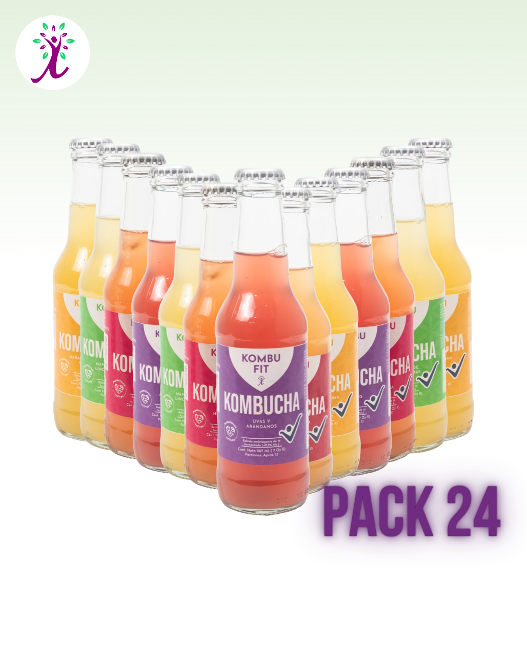 Pack de Kombucha sabores surtidos