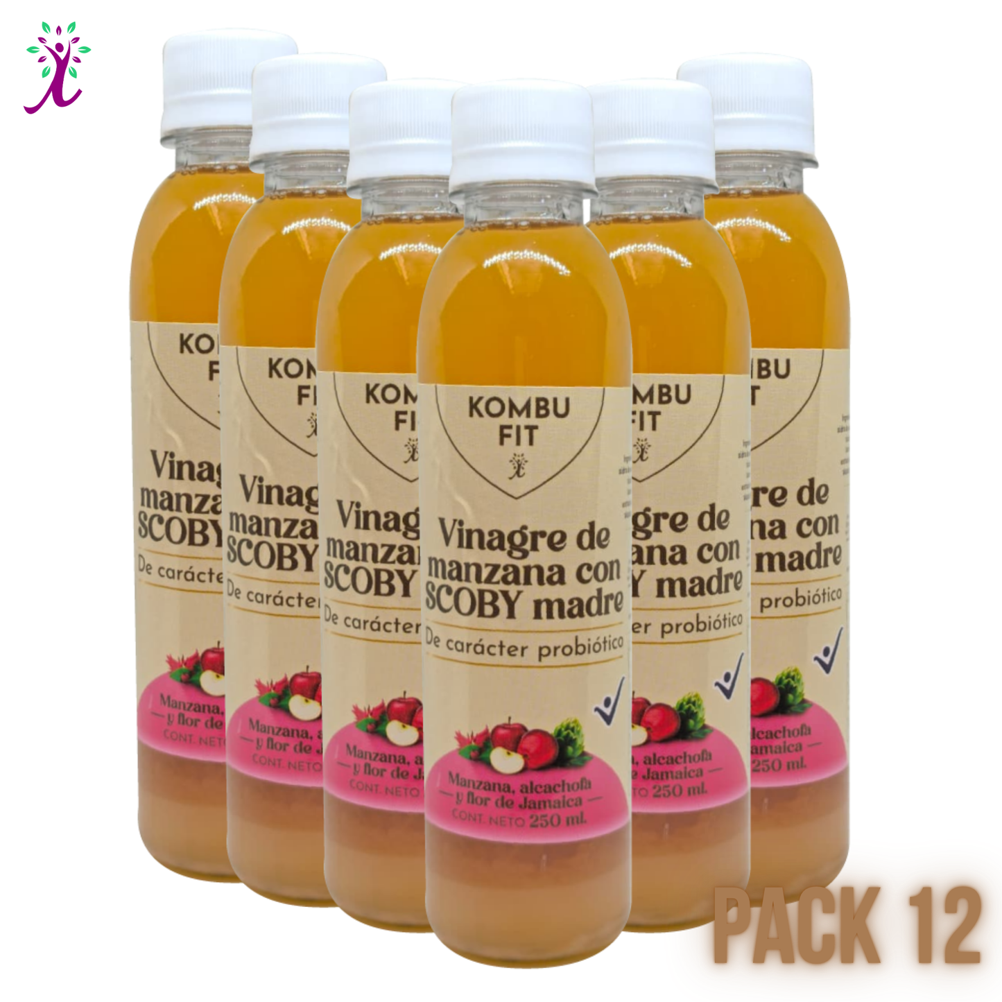 Vinagre de sidra de manzana con SCOBY madre, alcachofa y flor de jamaica