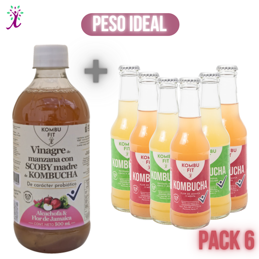Vinagre Kombu Fit alcachofa y flor de jamaica + Pack Kombucha sabores surtidos