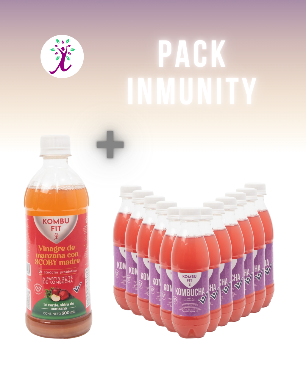 Vinagre Kombu Fit + Pack Kombucha uva y arándanos