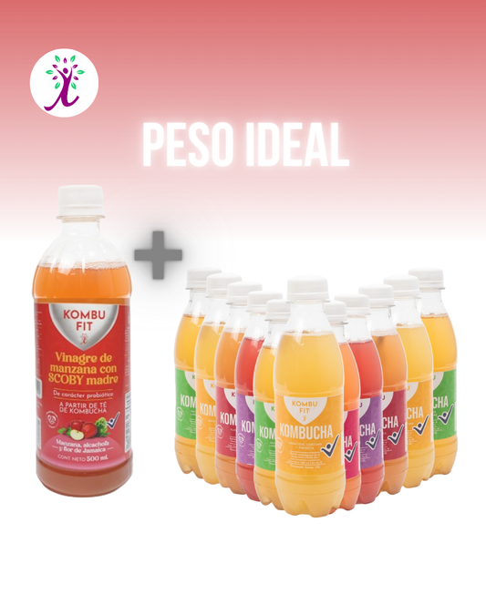 Vinagre Kombu Fit alcachofa y flor de jamaica + Pack Kombucha sabores surtidos