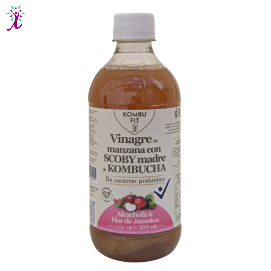 Vinagre de sidra de manzana con SCOBY madre, alcachofa y flor de jamaica