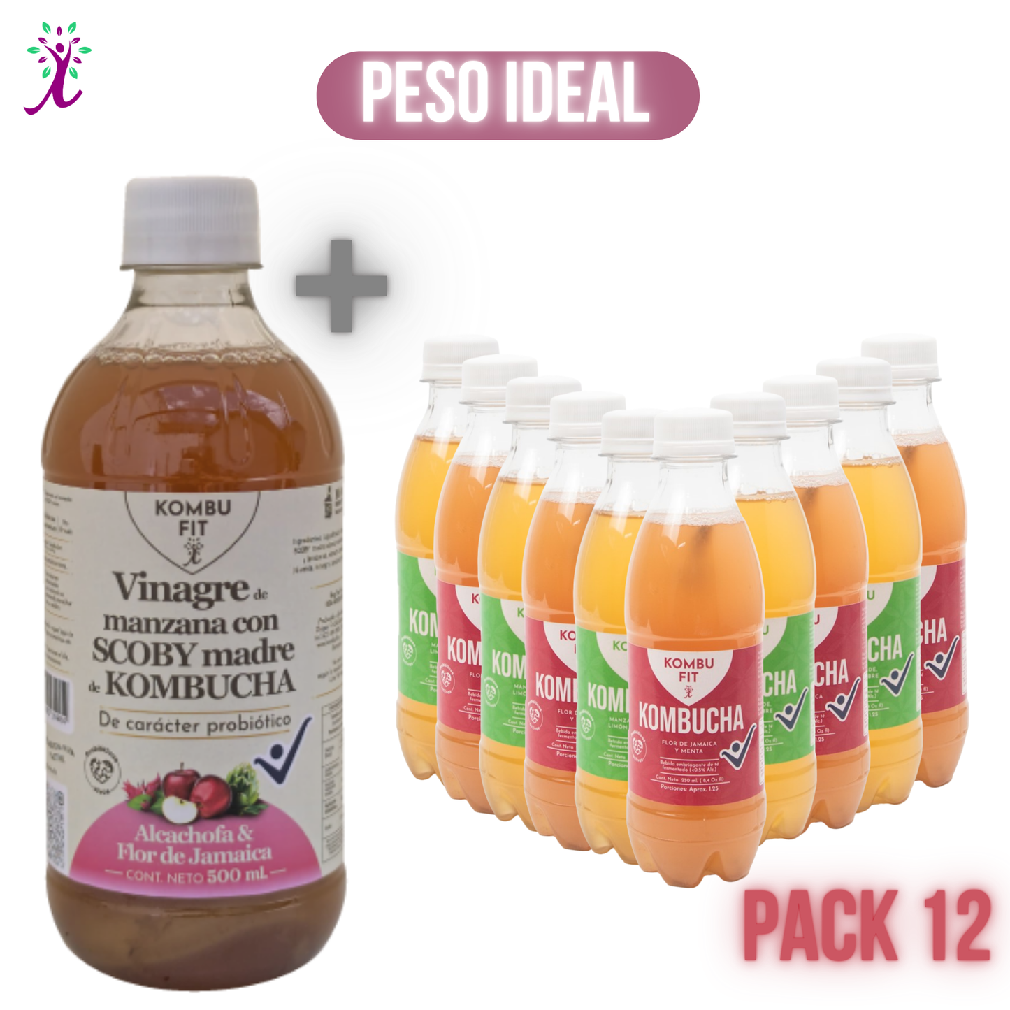 Vinagre Kombu Fit alcachofa y flor de jamaica + Pack Kombucha sabores surtidos