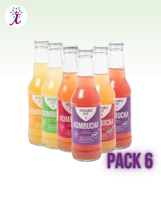 Pack de Kombucha sabores surtidos