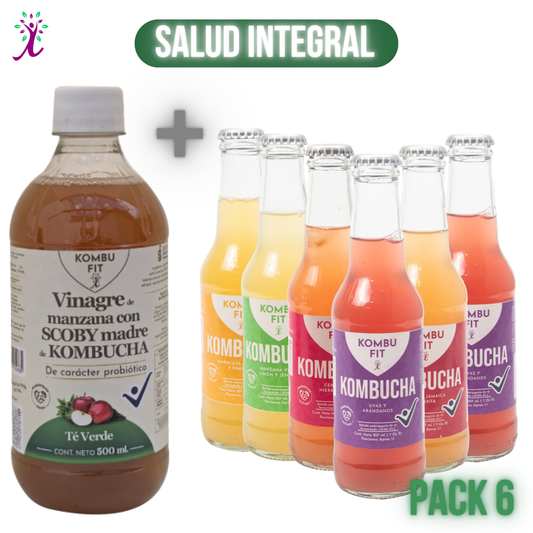Vinagre Kombu Fit Té verde  + Pack  Kombucha sabores surtidos